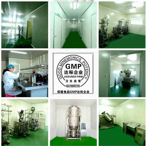 GMP工廠的設備以及車間-山東德州健之源