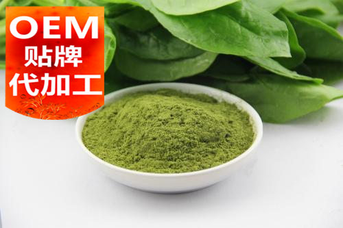 固體飲料生產(chǎn)廠家-OEM代加工-德州健之源